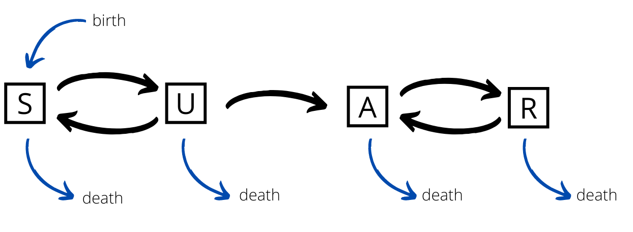 SUAR Diagram with ageing
